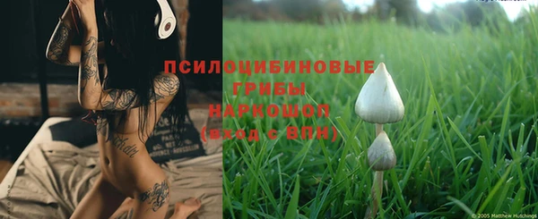 Альфа ПВП Зеленокумск