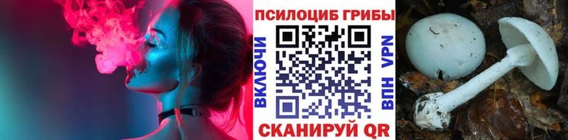 Псилоцибиновые грибы Cubensis  Купить закладки  Электросталь 